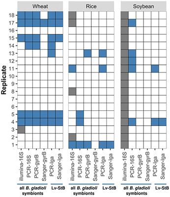 Transmission of Bacterial Symbionts With and Without Genome Erosion Between a Beetle Host and the Plant Environment